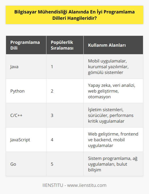En iyi programlama dilleri şöyle sıralanabilir: Java, Python, C/C++, JavaScript, Go, Swift, PHP, Ruby, Rust, C# ve TypeScript.