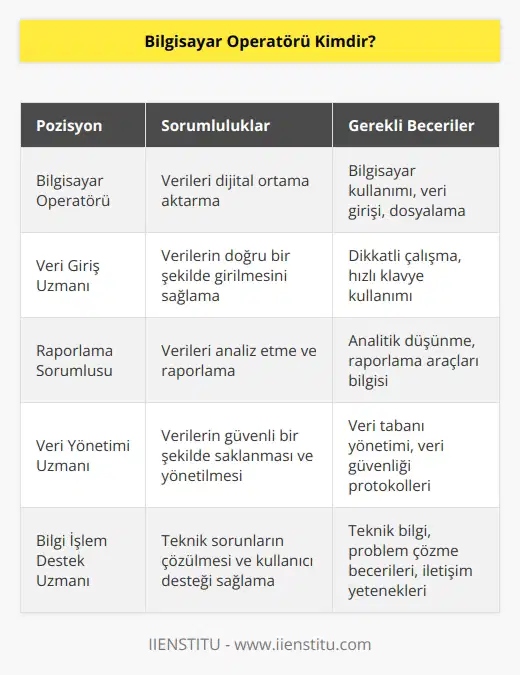 Bilgisayar operatörü; verilerin dijital ortama geçirilmesi sürecini yürütme pozisyonunda yer alan kişilere verilen addır. Bilgisayar operatörü, kendilerine verilen verileri çeşitli programlar kullanarak bilgisayar ortamına aktarma görevinden sorumlu olan kişidir. Gerekli görmesi durumunda bilgileri dosyalar ve rapor haline getirir.