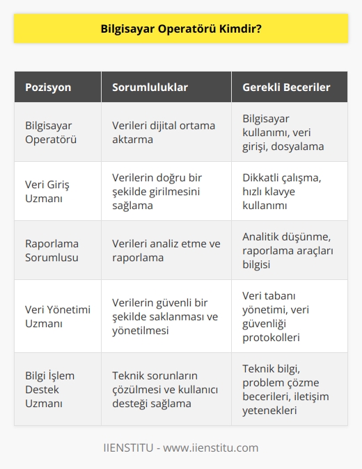 Bilgisayar operatörü; verilerin dijital ortama geçirilmesi sürecini yürütme pozisyonunda yer alan kişilere verilen addır. Bilgisayar operatörü, kendilerine verilen verileri çeşitli programlar kullanarak bilgisayar ortamına aktarma görevinden sorumlu olan kişidir. Gerekli görmesi durumunda bilgileri dosyalar ve rapor haline getirir.