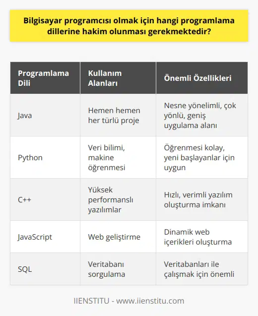 Bilgisayar programcısı olmak için bir dizi   ne hakim olunması gerekmektedir. Her ne kadar seçim genellikle belirli bir projeye veya özel bir işe bağlı olsa da, bazı diller diğerlerinden daha yaygın olup, bu nedenle programcıların geniş bir bilgi tabanına sahip olmaları gerekmektedir. İşte hakim olmanız gereken bazı önemli programlama dilleri:  Java: Java, hemen hemen her türlü proje için kullanılabilen, nesne yönelimli bir dir. Dolayısıyla, bir bilgisayar programcısı Java diline hakim olmalıdır. Javanın çok yönlü bir dil olması ve geniş bir uygulama alanına sahip olması bu dilin önemini artırmaktadır.  Python: Python, özellikle veri bilimi ve makine öğrenmesi uygulamalarında popüler olan bir diğer dir.   k kolaydır ve genellikle yeni başlayan programcılar için en uygun seçimdir.  C++: C++, yüksek performanslı yazılımlar geliştirmede popüler bir dildir. Bu programlama diline hakim olmak, programcının hızlı, verimli yazılım oluşturmasına olanak sağlar.  JavaScript: Web geliştirmeyi hedefleyen bir programcının bilmesi gereken bir başka dil JavaScripttir. JavaScript, kullanıcıların bir web sitesinde gördüğü dinamik içeriklerin oluşturulmasında kullanılır.  SQL: SQL, veritabanı sorgulamada kullanılan bir dildir ve bir programcının mutlaka bilmesi gereken bir araçtır. Veritabanları ile çalışma olasılığı yüksek olan her türlü iş için SQL diline hakim olmak çok önemlidir.  Yukarıda belirtilen diller, bir bilgisayar programcısının bilmesi gereken temel diller arasında yer almaktadır. Ancak, teknolojinin hızla ilerlemesi ve yeni dillerin geliştirilmesi ile programcıların sürekli olarak yeni beceriler ve diller öğrenmeleri gerekmektedir. Yani, bir bilgisayar programcısı olmak, durmaksızın öğrenmeyi ve bilgilerinizi sürekli güncel tutmayı gerektirir.