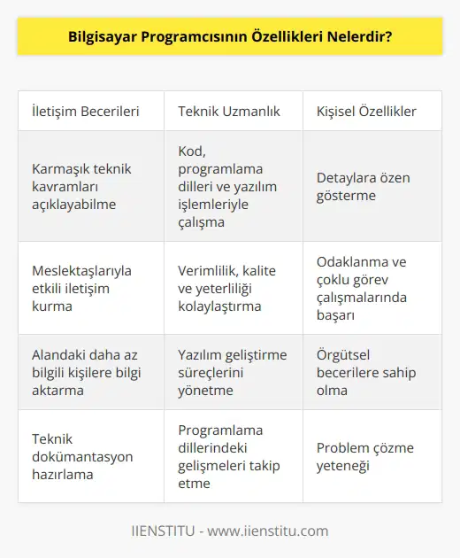 Bilgisayar Programcıları, meslektaşlarına ve alandaki daha az bilgili kişilere karmaşık teknik kavramları açıklayabilmelidir. Detaylara gösterilen özen, verimliliği, kaliteyi ve yeterliliği kolaylaştırdığından bu programcılar kod, programlama dilleri ve yazılım işlemleriyle çalışmaktadır. Örgütsel beceriler odaklanma ve çoklu görev çalışmalarında başarı olmaktadırlar.
