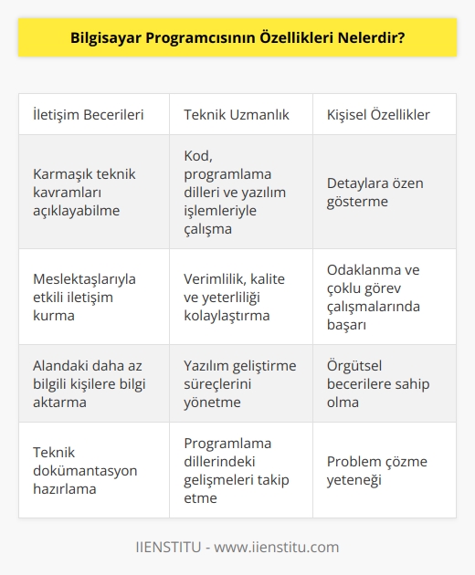 Bilgisayar Programcıları, meslektaşlarına ve alandaki daha az bilgili kişilere karmaşık teknik kavramları açıklayabilmelidir. Detaylara gösterilen özen, verimliliği, kaliteyi ve yeterliliği kolaylaştırdığından bu programcılar kod, programlama dilleri ve yazılım işlemleriyle çalışmaktadır. Örgütsel beceriler odaklanma ve çoklu görev çalışmalarında başarı olmaktadırlar.
