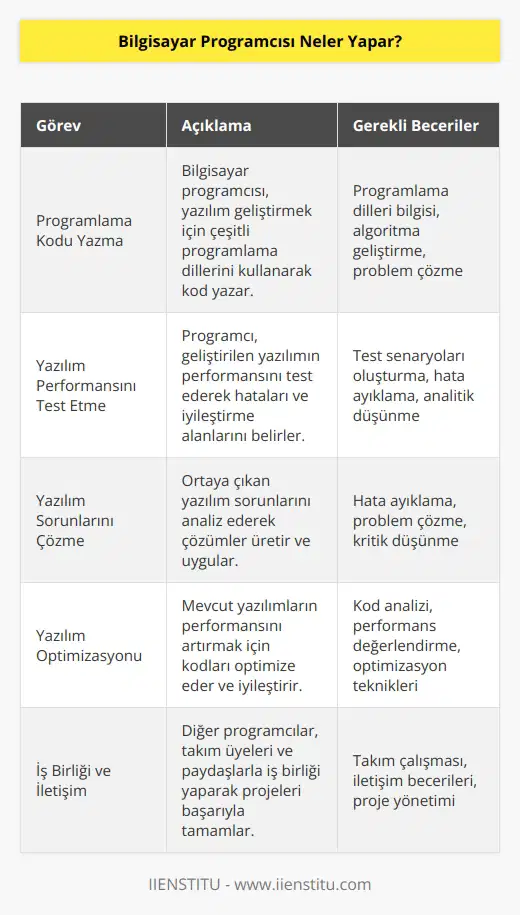 Bilgisayar Programcısı programlama kodu yazmak dışında, yazılım performanslarını test etmekte ve bilgisayar yazılım sorunlarını da çözmektedir. Performansı artırmak için yazılım programlarını değiştirebilmektedir. Ayrıca    sorunlarını çözmek için başkalarıyla iş birliği yapmaktadır.