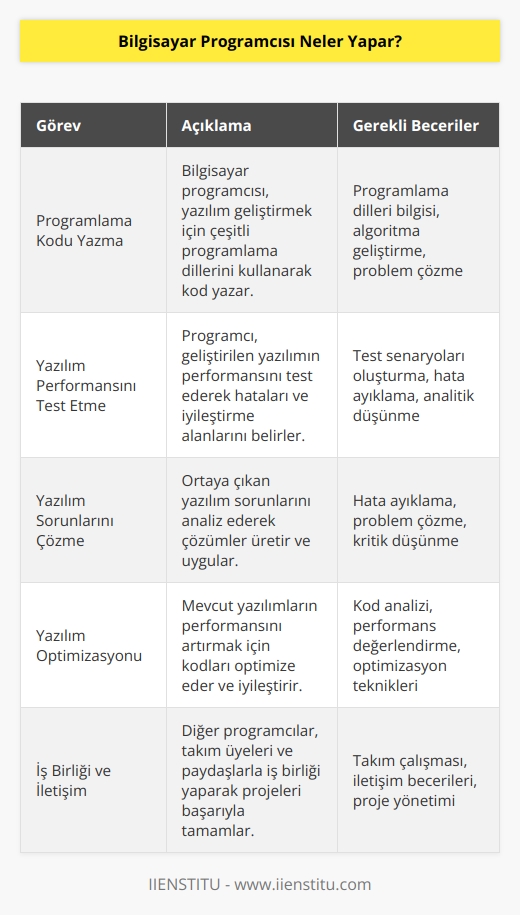Bilgisayar Programcısı programlama kodu yazmak dışında, yazılım performanslarını test etmekte ve bilgisayar yazılım sorunlarını da çözmektedir. Performansı artırmak için yazılım programlarını değiştirebilmektedir. Ayrıca sorunlarını çözmek için başkalarıyla iş birliği yapmaktadır.