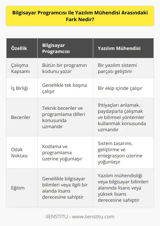 Bir Bilgisayar Programcısı bütün bir programın kodunu yazar,    ise bir sistem oluşturmak için farklı yazılım sistemi mühendisleri tarafından yazılan parçalarla birleştirilecek bir yazılım sistemi parçası geliştirir. Programlama öncelikle tek kişilik bir faaliyettir,    temelde bir ekip faaliyetidir. Programcı,   nın yolunun farkındadır ve önemli işler yaratmak için gereken teknik becerilere sahiptir, , ihtiyaçları anlamak, paydaşlarla birlikte çalışmak ve onların ihtiyaçlarını karşılayan bir cevap geliştirmek için bilimsel bir yöntem izlemektedir.