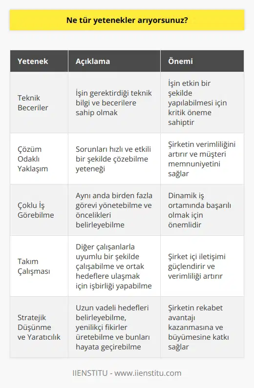 Biz özellikle çalışanlarımızın teknik becerileri, çözüm odaklı yaklaşımı, çoklu iş görebilme yeteneği, takım çalışmasına katılma yeteneği, stratejik düşünme yeteneği ve yaratıcılık aramaktayız.