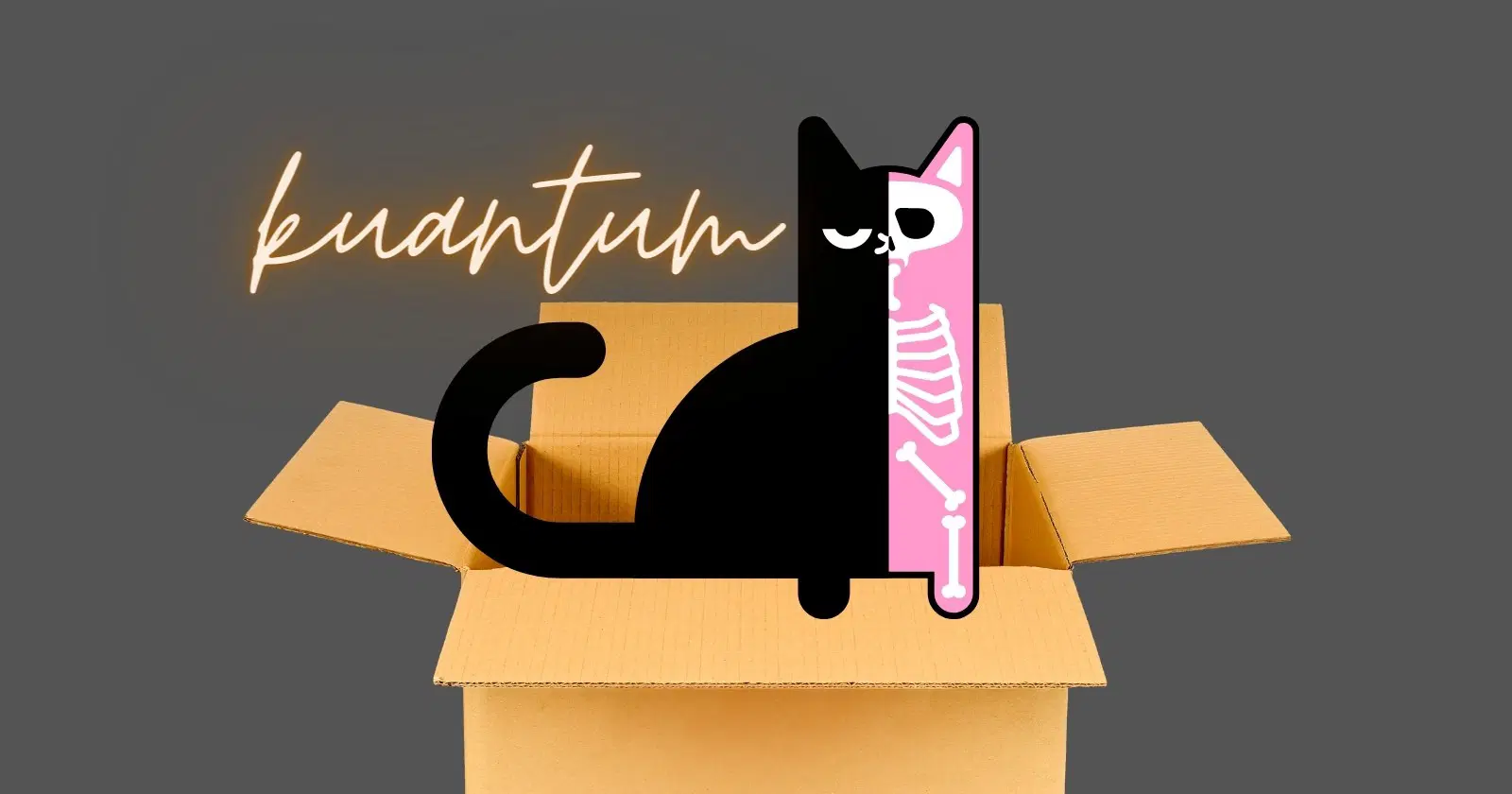 Bir Kuantum Fiziği Yaklaşımı: Schrödinger'in Kedisi