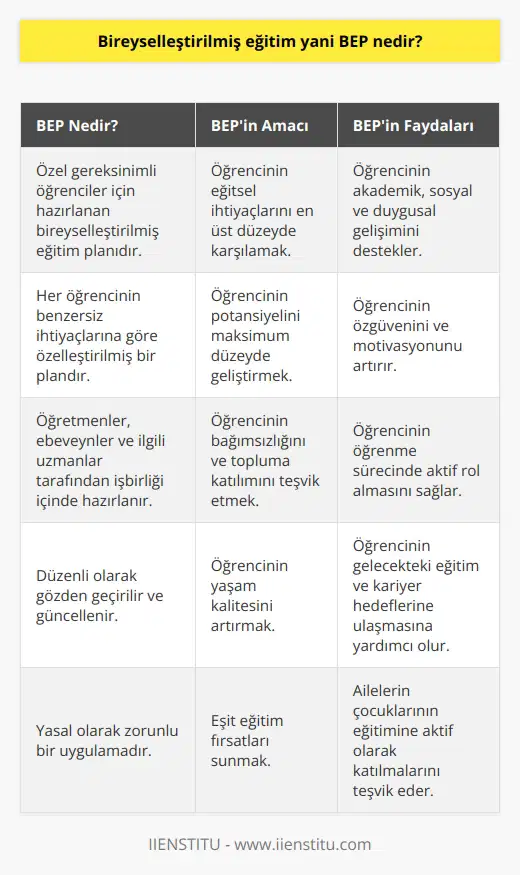 Özel gereksinimli öğrenciler için uygulanan bireysel eğitim planlarını içerir. Özel gereksinimli öğrencinin eğitsel ihtiyaçlarının en üst düzeyde karşılanmasını sağlar. Özel gereksinimli bireyi toplumun bir parçası haline getirmeyi amaçlar.