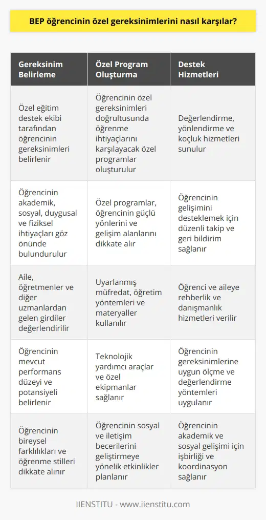 BEP öğrencilerinin özel gereksinimlerini karşılamak için okullar, personel ve öğrencilere çeşitli destekler sağlamaktadır. Öncelikle okulun özel eğitim destek ekibi tarafından öğrencinin gereksinimleri belirlenmelidir. Ekip, öğrencinin özel gereksinimleri doğrultusunda öğrencinin öğrenme ihtiyaçlarını karşılayacak özel programlar oluşturur. Öğrenciye özel olarak destek oluşturmak için özel eğitim destek ekibi öğrencinin gereksinimlerini karşılayan özel programlar, materyaller, teknolojiler, ve stratejiler kullanır. Ayrıca, öğrencilerin özel gereksinimlerini desteklemek için özel eğitim destek ekibi öğrenciye özel olarak değerlendirme, yönlendirme ve koçluk hizmetleri sunar.