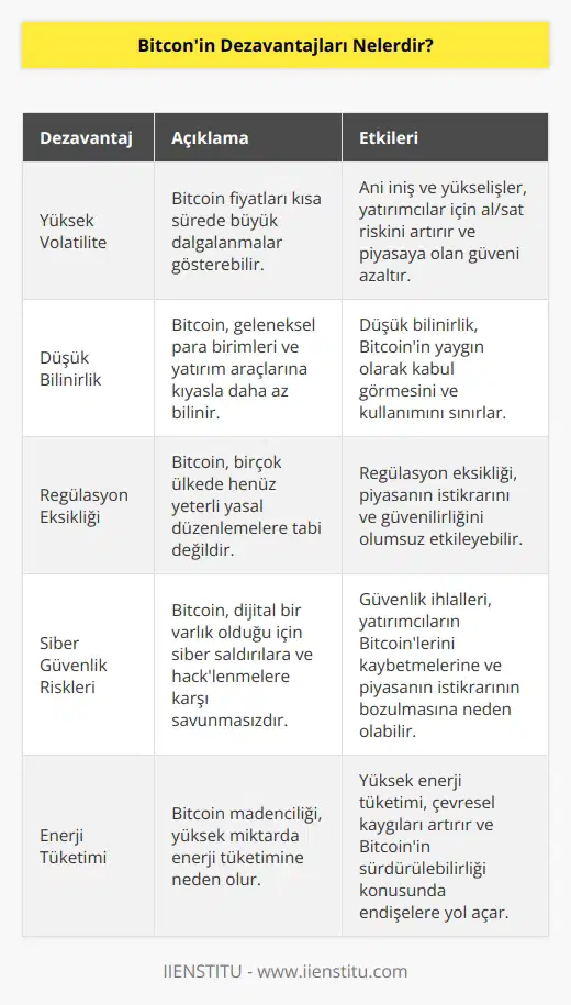 Ani iniş, ani yükselişler al/ sat riskini artırdığı için çoğu yatırımcı soğuk bakar. Bitcoin diğer paralara yani altın , dolara göre daha az bilindiği için kullanım oranı diğer paralara göre daha düşüktür.