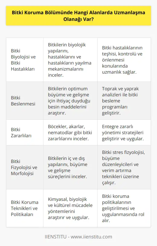 Bitki Koruma Bölümünde uzmanlaşma alanları arasında; bitki biyolojisi ve bitki hastalıkları, bitki örtüsü, bitki beslenmesi, bitki biyokimyası, bitki üretimi, bitki zararlıları, bitki fizyolojisi, bitki morfolojisi, biyoteknoloji, bitki koruma teknikleri, bitki sağlığı, bitki toprak ilaçları, bitki biyolojisi, bitki koruma yönetimi ve bitki koruma politikaları bulunmaktadır.