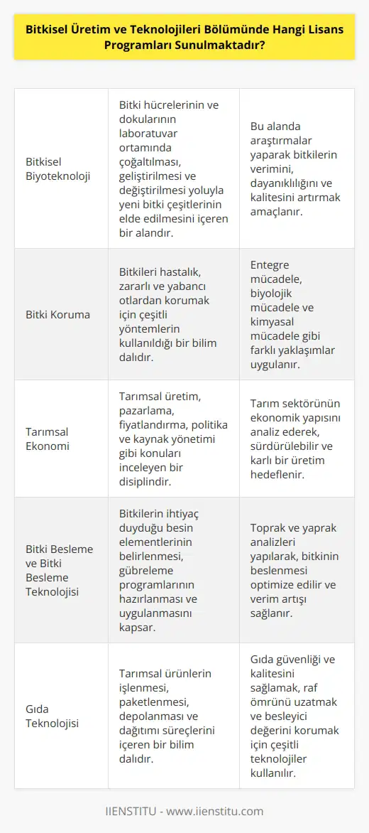 Bitkisel Üretim ve Teknolojileri Bölümünde genellikle şu lisans programları sunulmaktadır: Bitkisel Biyoteknoloji, , Tarım, Bitki Koruma, Tarımsal Ekonomi, Bitki Besleme ve Bitki Besleme Teknolojisi, Bitkisel Üretim, Tarımsal Yönetim ve İşletmecilik, Su Ürünleri Teknolojisi, Gıda Teknolojisi, Gıda Güvenliği ve Kalite Yönetimi, Bitki Fizyolojisi ve Bitkisel Gıda Teknolojisi, Bitki Biyokimyası ve Fizyolojisi, Bitki Genetiği ve Biyolojisi.