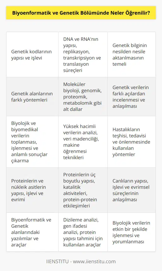 Biyoenformatik ve Genetik Bölümünde öğrenciler şunları öğrenebilirler:  1. Genetik kodlarının yapısı ve işlevi 2. Genetik alanlarının farklı yöntemleri 3. Genetik verilerinin toplanması, işlenmesi ve analizi 4. Genetik veri tabanlarının kurulması ve kullanılması 5. Biyolojik ve biyomedikal verilerin toplanması, işlenmesi ve anlamlı sonuçlar çıkarma 6. Proteinlerin ve nükleik asitlerin yapısı, işlevi ve evrimi 7. Genetik bilgi sayılamalarının yapılması 8. Biyoenformatik ve Genetik alanlarındaki yazılımlar ve araçlar 9. Biyoenformatik ve Genetik alanlarında kullanılan veri yapıları ve algoritmalar 10. Biyomatik ve Genetik verilerinin kullanımı ve teknolojileri