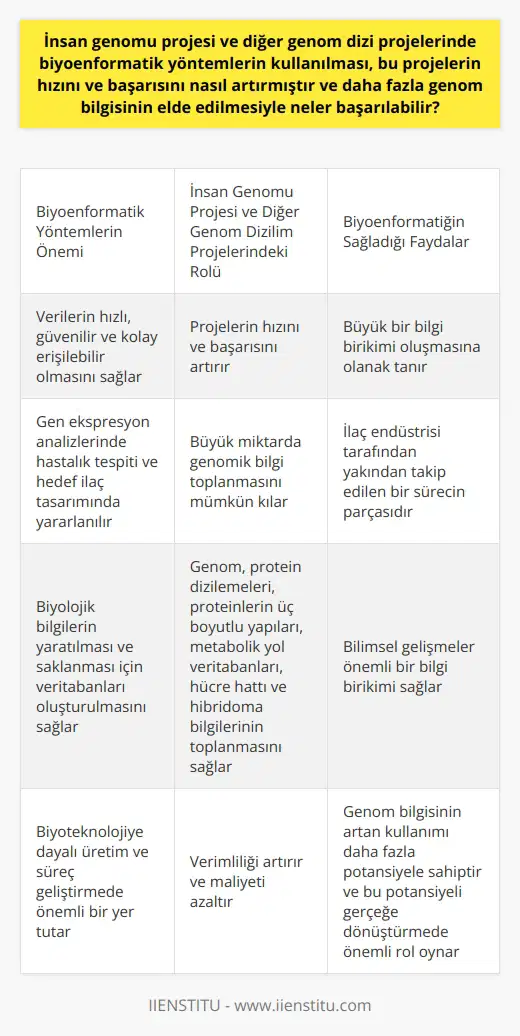Biyoenformatik, İnsan Genomu Projesinin ve Diğer Genom Dizilim Projelerinin Başarısını Artırır  Biyoenformatik yöntemlerin kullanımı, insan genomu projesi ve diğer genom dizilim projelerinin başarısını ve hızını artıran önemli bir tekniktir. Bu süreçlerdeki verilerin hızlı, güvenilir ve kolay erişilebilir olmasını sağlayarak büyük bir bilgi birikimi oluşmasına olanak sağlamıştır.  Biyoenformatik Tekniklerin Önemi  Biyoenformatik, gen ekspresyon analizlerinin odak noktası olarak genellikle çeşitli hastalıklardan etkilenen hücrelerin ekspresyonlarını toplar ve sağlıklı hücrelerle karşılaştırır. Bu durum, hastalık teşhisi ve hedef ilaç tasarımında yararlı olan farklılıklardan faydalanmayı mümkün kılar.  Genom Dizilim Projeleri ve Biyoenformatik  Genom dizilim projelerinde biyoenformatik yöntemlerin kullanılması, büyük miktarda genomik bilgi toplamayı mümkün kılar. Genom sekanslama, ilaç endüstrisi tarafından da yakından takip edilen bir sürecin parçasıdır. Bilimsel gelişmeler, önemli bir bilgi birikimi sağlamış ve biyoenformatik, bu bilgilerin yaratılması ve saklanması için veritabanlarını oluşturmayı gerektirmiştir.  Veritabanları ve Bilginin Saklanması  Biyolojik bilgilerin yaratılması ve saklanması için veritabanlarının oluşturulması, biyoenformatiğin önemli bir görevidir. Biyoenformatik, insanlar dahil tüm biyolojik türlerin genoma, protein dizilemelerine, proteinlerin üç boyutlu yapılarına ve metabolik yol veritabanlarına, hücre hattı ve hibridoma bilgilerinin toplanmasını da sağlar.  Sonuç Olarak  Biyoenformatik, insan genomu projesinin başarısında önemli bir rol oynamıştır. Ayrıca biyoteknolojiye dayalı üretim ve süreç geliştirmede de önemli bir yer tutar. Biyoenformatik yöntemlerinin kullanılması, hem verimliliği artırmış hem de maliyeti azaltmıştır. Genom bilgisinin artan kullanımı, daha fazla bir potansiyele sahiptir ve biyoenformatik gereçleri, bu potansiyeli gerçeğe dönüştürmede önemli bir rol oynamaktadır.