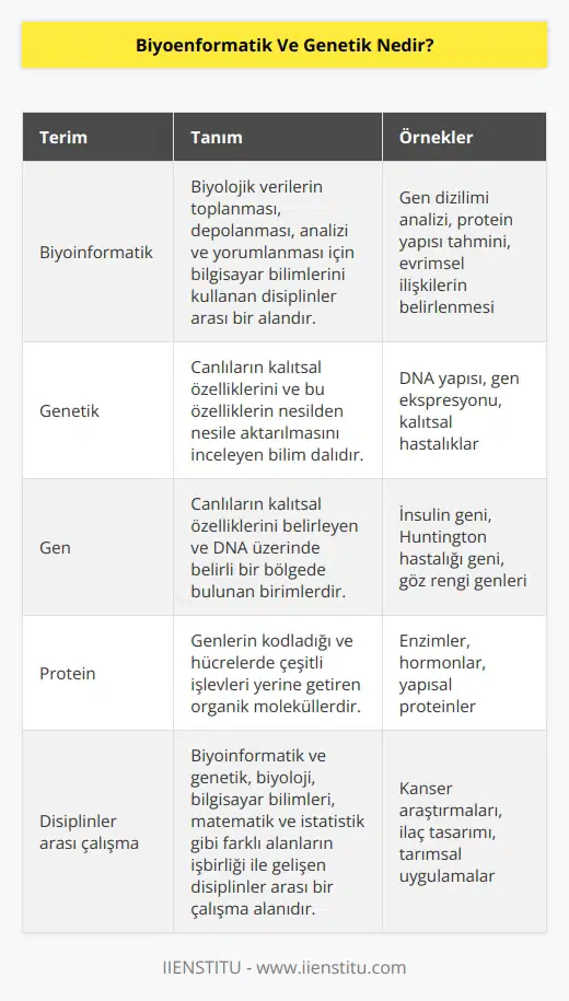 Biyoinformatik ve genetik insan dahil çeşitli türlerde yapılan gen ve protein araştırmalarını informatik alanıyla birleştiren bir bölümdür.