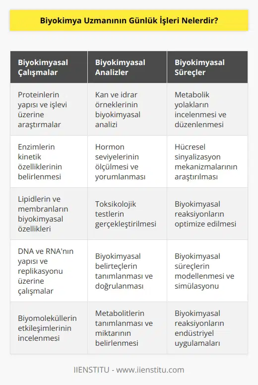 Biyokimya uzmanı günlük olarak çeşitli biyokimyasal çalışmalar, analizler ve testleri gerçekleştirebilir. Biyokimya uzmanı ayrıca biyokimyasal maddelerin, biyokimyasal yöntemlerin ve biyokimyasal süreçlerin çözümünde de yardımcı olabilir. Ayrıca, biyokimyasal çalışmaların ve analizlerin sonuçlarının yorumlanmasını da yapabilir. Biyokimya uzmanı ayrıca, biyokimyasal maddelerin, biyokimyasal yöntemlerin ve biyokimyasal süreçlerin üretiminde de görev alabilir. Biyokimya uzmanı ayrıca, biyokimyasal maddelerin, biyokimyasal yöntemlerin ve biyokimyasal süreçlerin analiz edilmesinde ve kullanılmasında da uzmanlık gösterebilir. Biyokimya uzmanı, biyokimyasal çalışmalara ve analizlere ait raporların hazırlanmasında da yardımcı olabilir.
