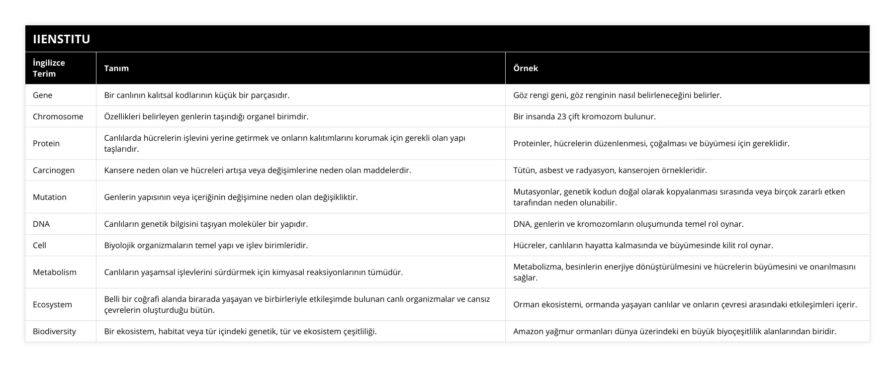 Gene, Bir canlının kalıtsal kodlarının küçük bir parçasıdır, Göz rengi geni, göz renginin nasıl belirleneceğini belirler, Chromosome, Özellikleri belirleyen genlerin taşındığı organel birimdir, Bir insanda 23 çift kromozom bulunur, Protein, Canlılarda hücrelerin işlevini yerine getirmek ve onların kalıtımlarını korumak için gerekli olan yapı taşlarıdır, Proteinler, hücrelerin düzenlenmesi, çoğalması ve büyümesi için gereklidir, Carcinogen, Kansere neden olan ve hücreleri artışa veya değişimlerine neden olan maddelerdir, Tütün, asbest ve radyasyon, kanserojen örnekleridir, Mutation, Genlerin yapısının veya içeriğinin değişimine neden olan değişikliktir, Mutasyonlar, genetik kodun doğal olarak kopyalanması sırasında veya birçok zararlı etken tarafından neden olunabilir, DNA, Canlıların genetik bilgisini taşıyan moleküler bir yapıdır, DNA, genlerin ve kromozomların oluşumunda temel rol oynar, Cell, Biyolojik organizmaların temel yapı ve işlev birimleridir, Hücreler, canlıların hayatta kalmasında ve büyümesinde kilit rol oynar, Metabolism, Canlıların yaşamsal işlevlerini sürdürmek için kimyasal reaksiyonlarının tümüdür, Metabolizma, besinlerin enerjiye dönüştürülmesini ve hücrelerin büyümesini ve onarılmasını sağlar, Ecosystem, Belli bir coğrafi alanda birarada yaşayan ve birbirleriyle etkileşimde bulunan canlı organizmalar ve cansız çevrelerin oluşturduğu bütün, Orman ekosistemi, ormanda yaşayan canlılar ve onların çevresi arasındaki etkileşimleri içerir, Biodiversity, Bir ekosistem, habitat veya tür içindeki genetik, tür ve ekosistem çeşitliliği, Amazon yağmur ormanları dünya üzerindeki en büyük biyoçeşitlilik alanlarından biridir