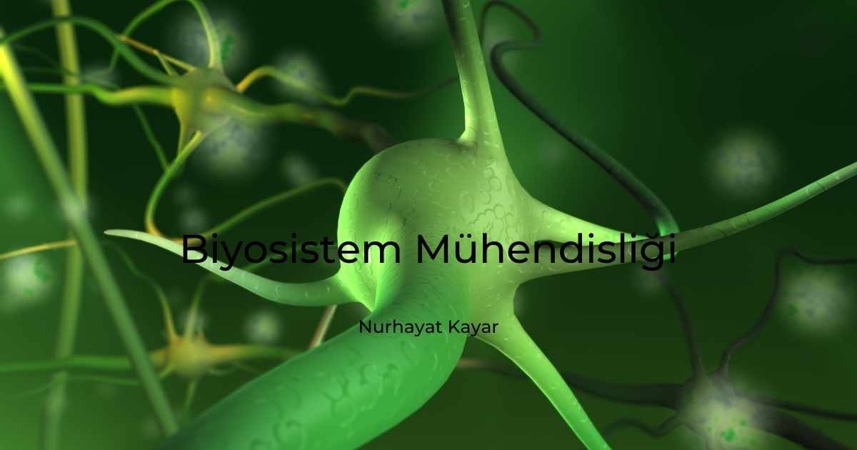 Biyosistem Mühendisliği Bölümü