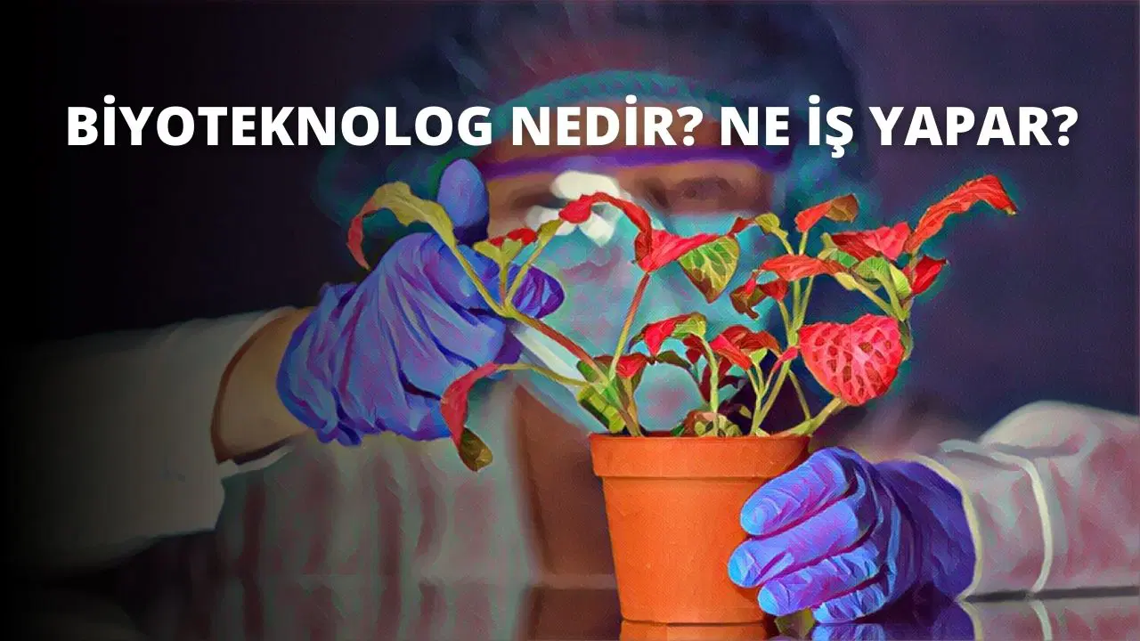 Biyoteknolog Nedir? Ne İş Yapar?