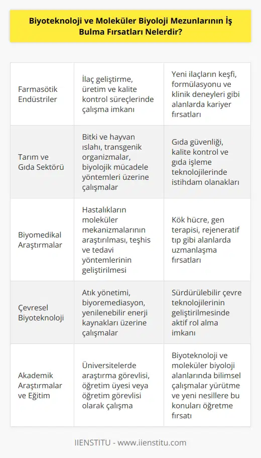 Biyoteknoloji ve moleküler biyoloji mezunları, farmasötik endüstriler, tarım ve gıda, biyomedikal, kimyasal, çevresel, biyogüvenlik ve klinik araştırma alanlarında çalışma fırsatları bulabilirler. Ayrıca, mezunlar araştırma ve geliştirme ve ürün geliştirme, veri toplama ve analizi, kalite kontrol ve gözetim, laboratuvar denetimi ve teknik destek gibi görevlerde de çalışabilirler. Bunun yanı sıra, mezunlar biyoteknoloji ve moleküler biyoloji alanlarında akademik araştırmalarda, hükümet araştırmasında ve biyoloji eğitiminde de çalışabilirler.