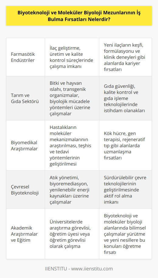 Biyoteknoloji ve moleküler biyoloji mezunları, farmasötik endüstriler, tarım ve gıda, biyomedikal, kimyasal, çevresel, biyogüvenlik ve klinik araştırma alanlarında çalışma fırsatları bulabilirler. Ayrıca, mezunlar araştırma ve geliştirme ve ürün geliştirme, veri toplama ve analizi, kalite kontrol ve gözetim, laboratuvar denetimi ve teknik destek gibi görevlerde de çalışabilirler. Bunun yanı sıra, mezunlar biyoteknoloji ve moleküler biyoloji alanlarında akademik araştırmalarda, hükümet araştırmasında ve biyoloji eğitiminde de çalışabilirler.