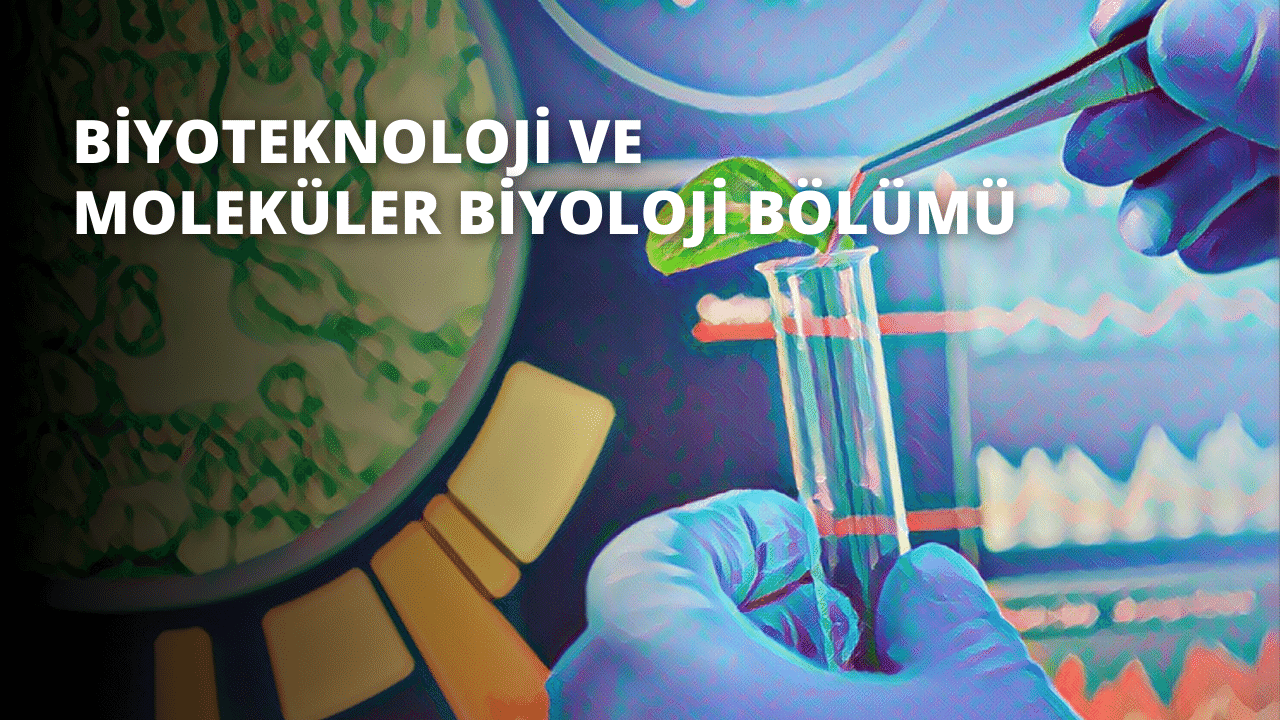 Biyoteknoloji ve Moleküler Biyoloji Bölümü