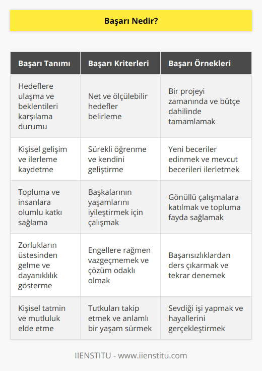 Başarısızlığın tersi olarak tanımlanır. Belirtilen bir takım beklentiyi karşılama koşulu ya da durumu olarak açıklanabilir.