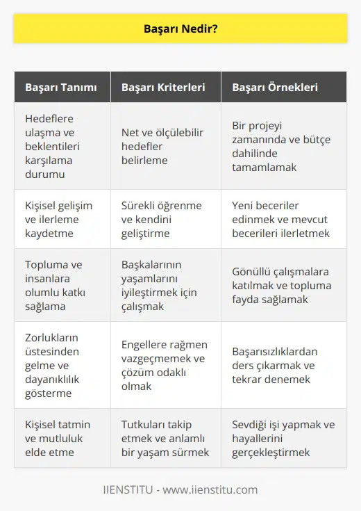 Başarısızlığın tersi olarak tanımlanır. Belirtilen bir takım beklentiyi karşılama koşulu ya da durumu olarak açıklanabilir.