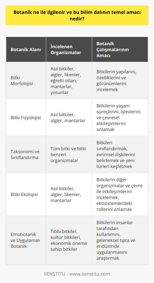 Botanik İle İlgili Çalışmalar  Botanik, canlı organizmaları inceleyen biyoloji dalı olup, bitki yaşamının yapılarını, özelliklerini, yaşam süreçlerini, sınıflandırmaları, hastalıkları ve çevresel etkileşimleri kapsamaktadır. Bu bilim dalının temel amacı, bitkilerin nasıl çalıştığını, neye benzediklerini, birbirleriyle nasıl ilişkili olduklarını, nerede büyüdüklerini, insanların bitkilerden nasıl yararlandıklarını ve bitkilerin nasıl evrimleştiğini incelemektir.  Bitki Çeşitliliği ve İncelenen Organizmalar  Botanik, başta asıl bitkiler olmak üzere, algler, likenler, eğrelti otları, mantarlar ve yosunlar gibi bütün bitki benzeri organizmaları incelemekteydi. Günümüzde ise bakteriler, algler ve mantarlar kendi ayrı krallıklarında değerlendirilmektedir. Bu nedenle, botanik çalışmalarında da çeşitli canlı organizmalar ele alınmaktadır.  İnsanlar ve Bitkilerle Etkileşim  Bitkiler, doğrudan veya dolaylı olarak tüm gıdamızı ve soluduğumuz oksijeni sağlayarak insan yaşamları için büyük öneme sahiptir. İnsanlar, binlerce yıl öncesine dayanan botanik araştırma ve keşifler ile bitkilere olan ilgilerini artırmışlardır. Geleneksel tıpta kullanılan bitkiler üzerinde yapılan araştırmalar, bu bitkilerin ana ilaçlara nasıl uygulanabileceğini öğrenmek amacını taşır.  Laboratuvar Çalışmaları ve Yöntemler  Bazı botanistler, laboratuvar ortamında bitkilerin yapısını inceleyerek ve moleküler kimya gibi araçları kullanarak bitki yaşamının yapı taşlarını anlamaya çalışmaktadır. Tek tek hücrelerin en ayrıntılı incelenmesi ve tüm bitkinin modeline odaklanarak tarlada da çalışmalar yapılmaktadır.  Ekoloji ve yeni Türlerin Keşfi  Ekoloji ile ilgilenen botanikçiler, bitkilerin diğer organizmalar ve çevre ile etkileşimlerini incelerler. Bunun yanı sıra, yeni türler bulmak için araştırmalar yaparak ve bitkilerin çeşitli koşullar altında nasıl büyüdüklerini keşfetmek için deneyler yaparlar.  Sonuç olarak, botanik, bitkilerin ve bitki benzeri organizmaların bilimsel çalışmaları ile insanlar için önemli faydaları ortaya koyan disiplinler arası bir bilim dalıdır. Bu alandaki çalışmalar, doğadaki çeşitliliği ve ekosistemlerin işleyişini daha iyi anlamamızı sağlamaktadır.