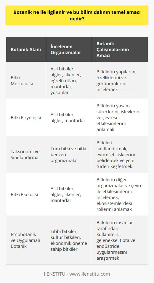 Botanik İle İlgili Çalışmalar Botanik, canlı organizmaları inceleyen biyoloji dalı olup, bitki yaşamının yapılarını, özelliklerini, yaşam süreçlerini, sınıflandırmaları, hastalıkları ve çevresel etkileşimleri kapsamaktadır. Bu bilim dalının temel amacı, bitkilerin nasıl çalıştığını, neye benzediklerini, birbirleriyle nasıl ilişkili olduklarını, nerede büyüdüklerini, insanların bitkilerden nasıl yararlandıklarını ve bitkilerin nasıl evrimleştiğini incelemektir. Bitki Çeşitliliği ve İncelenen Organizmalar Botanik, başta asıl bitkiler olmak üzere, algler, likenler, eğrelti otları, mantarlar ve yosunlar gibi bütün bitki benzeri organizmaları incelemekteydi. Günümüzde ise bakteriler, algler ve mantarlar kendi ayrı krallıklarında değerlendirilmektedir. Bu nedenle, botanik çalışmalarında da çeşitli canlı organizmalar ele alınmaktadır. İnsanlar ve Bitkilerle Etkileşim Bitkiler, doğrudan veya dolaylı olarak tüm gıdamızı ve soluduğumuz oksijeni sağlayarak insan yaşamları için büyük öneme sahiptir. İnsanlar, binlerce yıl öncesine dayanan botanik araştırma ve keşifler ile bitkilere olan ilgilerini artırmışlardır. Geleneksel tıpta kullanılan bitkiler üzerinde yapılan araştırmalar, bu bitkilerin ana ilaçlara nasıl uygulanabileceğini öğrenmek amacını taşır. Laboratuvar Çalışmaları ve Yöntemler Bazı botanistler, laboratuvar ortamında bitkilerin yapısını inceleyerek ve moleküler kimya gibi araçları kullanarak bitki yaşamının yapı taşlarını anlamaya çalışmaktadır. Tek tek hücrelerin en ayrıntılı incelenmesi ve tüm bitkinin modeline odaklanarak tarlada da çalışmalar yapılmaktadır. Ekoloji ve yeni Türlerin Keşfi Ekoloji ile ilgilenen botanikçiler, bitkilerin diğer organizmalar ve çevre ile etkileşimlerini incelerler. Bunun yanı sıra, yeni türler bulmak için araştırmalar yaparak ve bitkilerin çeşitli koşullar altında nasıl büyüdüklerini keşfetmek için deneyler yaparlar. Sonuç olarak, botanik, bitkilerin ve bitki benzeri organizmaların bilimsel çalışmaları ile insanlar için önemli faydaları ortaya koyan disiplinler arası bir bilim dalıdır. Bu alandaki çalışmalar, doğadaki çeşitliliği ve ekosistemlerin işleyişini daha iyi anlamamızı sağlamaktadır.