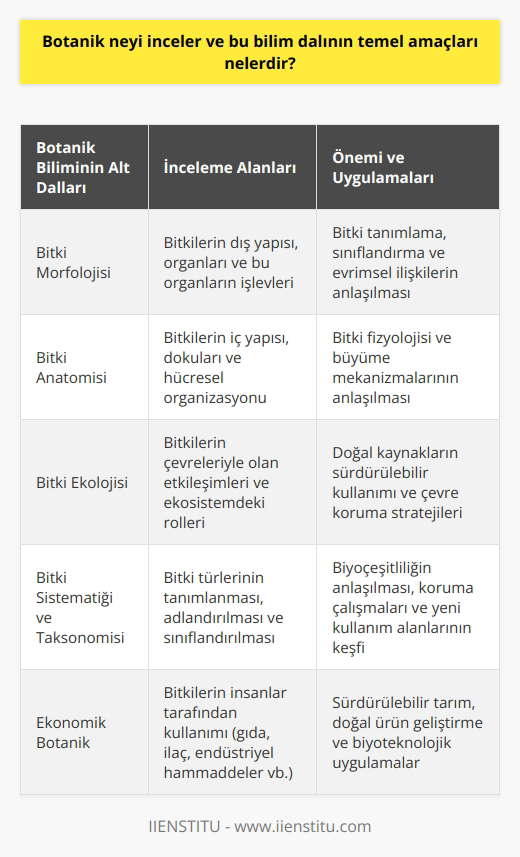 Botanik, bitki biliminden türemiş bir disiplindir ve bitki yaşamının çeşitli yönlerini inceler. İlk başta botanik sadece bitkileri içeriyordu ancak daha sonra bu disiplin algler, mantarlar ve bakteriler gibi diğer organizmaları da kapsamaya başladı. Botanik, bitkilerin yapısını, sınıflandırılmasını, yaşam süreçlerini ve çevresel etkileşimlerini inceler.   Botanik Biliminin Amaçları  Bitki yaşamını anlamada botaniğin önemi büyüktür. Bu bilim dalının temel amacı, bitkilerin nasıl işlev gördüğünü, kökenlerinin ne olduğunu ve çevrelerindeki biyolojik etkileşimlerini anlamaktır. Botanikçilerin yaptığı araştırmalar, bitkileri anlamak ve onların farklı kullanımlarını keşfetmek için önemlidir. Botanikçiler, bitki yaşamının bilimsel incelemesinde, alglerin incelenmesi, mantarlar ve bakterilerle olan etkileşimler ve bitkilerin evrimi üzerinde dururlar.  Ekolojik Etkileşimlerin Incelenmesi   Botanik ayrıca ekoloji ile iç içedir; botanikçiler, bitkilerin çevresi ile nasıl etkileşimde bulunduğunu ve bu etkileşimlerin ekosistemler üzerindeki etkisinin ne olduğunu incelemektedirler. Buna ek olarak, bitkilerin insanlık için provizyonel hizmetler sağlama biçimleri de incelenir. Bu, tarımın geleceği ve çevresel sürdürülebilirliği konusunda kritik bir rol oynar.  Botanik Biliminde Yeni Türlerin Araştırılması   Botanik bilimi, yeni bitki türlerinin keşfedilmesine de yardımcı olmaktadır. Bu yeni türlerin keşfi, biyolojik çeşitlilik konusunda önemli bilgiler sağlar ve aynı zamanda tıp, tarım ve biyoteknoloji gibi alanlarda potansiyel uygulamalara yol açabilir. Botanikçiler bu çeşitli türlerin özelliklerini saptayarak ve onları sınıflandırarak bu tür bilgileri sağlarlar.   Sonuç olarak, botanik, insanlık ve çevre arasındaki ilişkileri anlama ve bunlar arasındaki etkileşimleri yönetme konusunda önemli bir rol oynar. Bu bilim dalı, bitkilerin dünya üzerindeki hayatın devamlılığına ve sürdürülebilirliğine olan önemini vurgular.