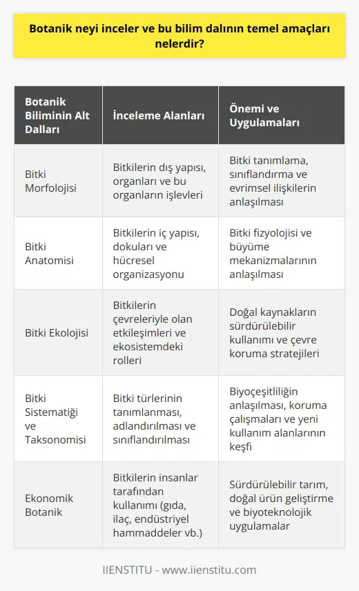 Botanik, bitki biliminden türemiş bir disiplindir ve bitki yaşamının çeşitli yönlerini inceler. İlk başta botanik sadece bitkileri içeriyordu ancak daha sonra bu disiplin algler, mantarlar ve bakteriler gibi diğer organizmaları da kapsamaya başladı. Botanik, bitkilerin yapısını, sınıflandırılmasını, yaşam süreçlerini ve çevresel etkileşimlerini inceler.   Botanik Biliminin Amaçları  Bitki yaşamını anlamada botaniğin önemi büyüktür. Bu bilim dalının temel amacı, bitkilerin nasıl işlev gördüğünü, kökenlerinin ne olduğunu ve çevrelerindeki biyolojik etkileşimlerini anlamaktır. Botanikçilerin yaptığı araştırmalar, bitkileri anlamak ve onların farklı kullanımlarını keşfetmek için önemlidir. Botanikçiler, bitki yaşamının bilimsel incelemesinde, alglerin incelenmesi, mantarlar ve bakterilerle olan etkileşimler ve bitkilerin evrimi üzerinde dururlar.  Ekolojik Etkileşimlerin Incelenmesi   Botanik ayrıca ekoloji ile iç içedir; botanikçiler, bitkilerin çevresi ile nasıl etkileşimde bulunduğunu ve bu etkileşimlerin ekosistemler üzerindeki etkisinin ne olduğunu incelemektedirler. Buna ek olarak, bitkilerin insanlık için provizyonel hizmetler sağlama biçimleri de incelenir. Bu, tarımın geleceği ve çevresel sürdürülebilirliği konusunda kritik bir rol oynar.  Botanik Biliminde Yeni Türlerin Araştırılması   Botanik bilimi, yeni bitki türlerinin keşfedilmesine de yardımcı olmaktadır. Bu yeni türlerin keşfi, biyolojik çeşitlilik konusunda önemli bilgiler sağlar ve aynı zamanda tıp, tarım ve biyoteknoloji gibi alanlarda potansiyel uygulamalara yol açabilir. Botanikçiler bu çeşitli türlerin özelliklerini saptayarak ve onları sınıflandırarak bu tür bilgileri sağlarlar.   Sonuç olarak, botanik, insanlık ve çevre arasındaki ilişkileri anlama ve bunlar arasındaki etkileşimleri yönetme konusunda önemli bir rol oynar. Bu bilim dalı, bitkilerin dünya üzerindeki hayatın devamlılığına ve sürdürülebilirliğine olan önemini vurgular.