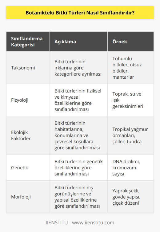 Botanikteki bitki türleri, dişili ve erkekli çiçekler, ağaçlar ve çalılar, otsu bitkiler, otsuz bitkiler ve mantar gibi bitki gurubu için aşağıdaki kategorilere göre sınıflandırılır:  1. Taksonomi: Taksonomi, bitki türlerinin ırklarına göre kategorilere ayırılmasına dayanır. Bitki türleri, cinsler ve alt türler (örneğin, tohumlu bitkiler, otsuz bitkiler ve mantarlar) için sınıflandırılır.  2. Fizyoloji: Bitki türleri, özellikle toprak, su ve ışık gibi fiziksel ve kimyasal özellikleri göz önünde bulundurularak sınıflandırılır.  3. Ekolojik Faktörler: Bitki türleri, habitatlarına, konumlarına ve çevresel koşullara göre sınıflandırılır.  4. Genetik: Bitki türleri, genetik özelliklerine göre sınıflandırılır.