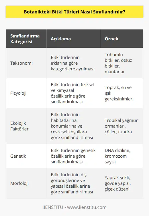 Botanikteki bitki türleri, dişili ve erkekli çiçekler, ağaçlar ve çalılar, otsu bitkiler, otsuz bitkiler ve mantar gibi bitki gurubu için aşağıdaki kategorilere göre sınıflandırılır:  1. Taksonomi: Taksonomi, bitki türlerinin ırklarına göre kategorilere ayırılmasına dayanır. Bitki türleri, cinsler ve alt türler (örneğin, tohumlu bitkiler, otsuz bitkiler ve mantarlar) için sınıflandırılır.  2. Fizyoloji: Bitki türleri, özellikle toprak, su ve ışık gibi fiziksel ve kimyasal özellikleri göz önünde bulundurularak sınıflandırılır.  3. Ekolojik Faktörler: Bitki türleri, habitatlarına, konumlarına ve çevresel koşullara göre sınıflandırılır.  4. Genetik: Bitki türleri, genetik özelliklerine göre sınıflandırılır.
