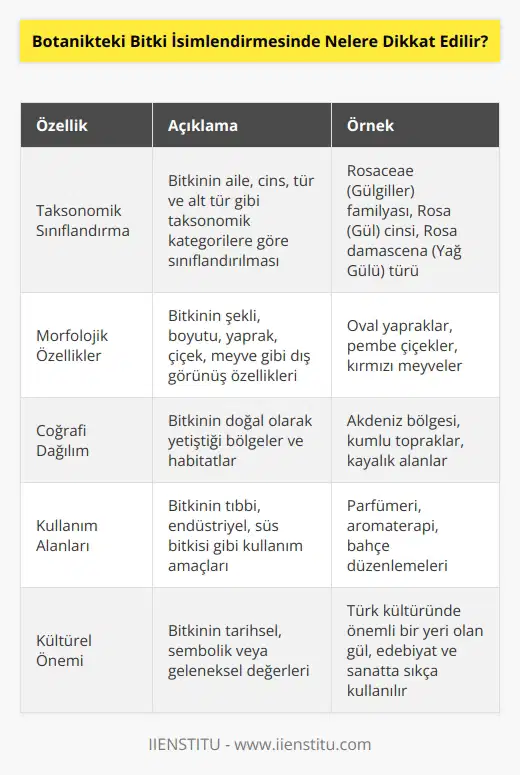 1. Bitkinin özellikleri, yani türü, cinsi, çeşidi veya taksonomik grup. 2. Bitkinin biyoçeşitliliği ile ilgili özellikleri. 3. Bitkinin çevresi ile ilgili özellikleri. 4. Bitkinin türünün yöresel adı. 5. Bitkinin tarihsel sınıflandırması. 6. Bitkinin çok farklı isimleri. 7. Bitkinin sıcaklık, nem, ışık, toprak ve diğer çevresel faktörleri ile ilgili özellikleri. 8. Bitkinin besin kaynakları veya çevresel etkileri. 9. Bitkinin ekoloj  . 10. Bitkinin genetik özellikleri.