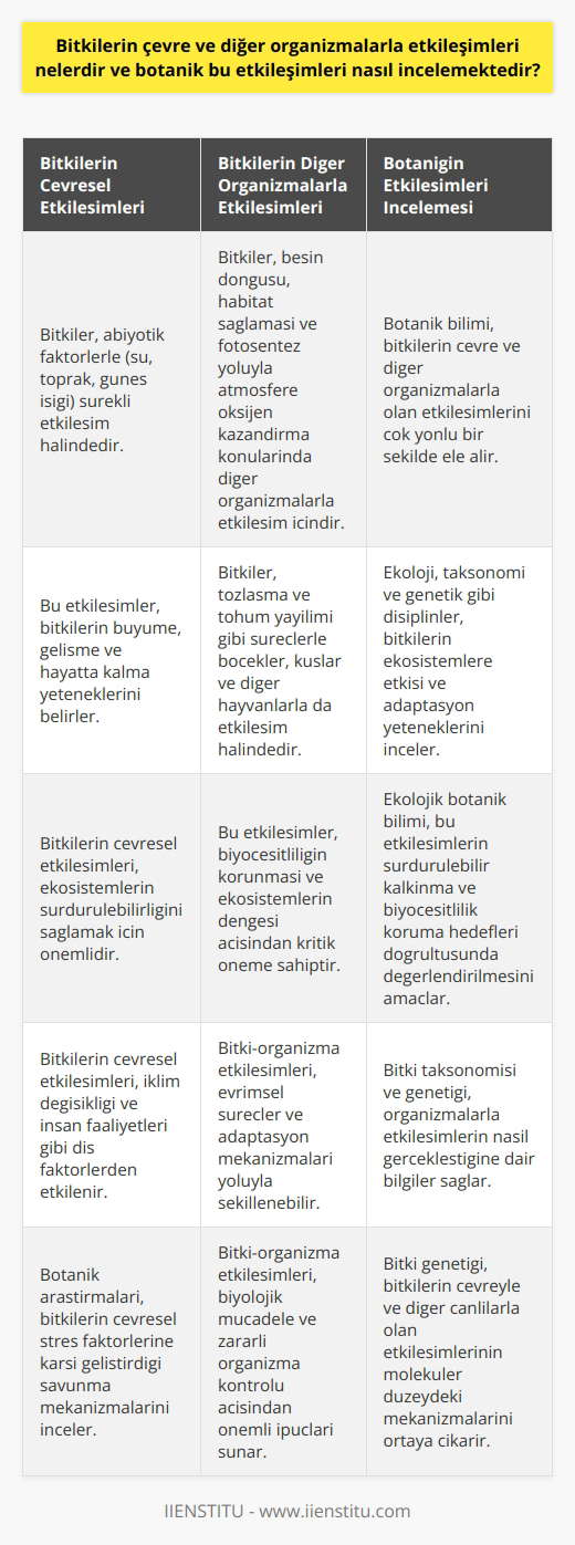 Bitkilerin Çevresel Etkileşimleri Bitkiler, dünya ekosistemlerinin canlı ve cansız bileşenleriyle sürekli etkileşim halinde bulunurlar. Bu etkileşimler, su, toprak ve aşırı güneş ışığı gibi abiyotik (cansız) faktörlerle bitkilerin büyüme, gelişme ve hayatta kalma yeteneklerini belirler. Bitkilerin Diğer Organizmalarla Etkileşimleri Bitkilerin, diğer organizmalarla etkileşimleri de önem taşır. Özellikle besin döngüsü, habitat sağlaması ve fotosentez yoluyla atmosfere oksijen kazandırma gibi konularda bitkilerin organizmalarla etkileşimleri vardır. Ayrıca bitkiler, tozlaşma ve tohum yayılımı gibi süreçlerle böcekler, kuşlar ve diğer hayvanlarla da etkileşim içindedirler. Botaniğin Etkileşimleri İncelemesi Botanik bilimi, bitkilerin çevre ve diğer organizmalarla olan etkileşimlerini çok yönlü bir şekilde ele alır. Ekoloji, taksonomi ve genetik gibi disiplinlerin de içinde bulunduğu botanik alanına göre, bitkilerin ekosistemlere etkisi ve adaptasyon yeteneklerini incelemeye yöneliktir. Ekoloji ve Bitkilerin Etkileşimi Bitkilerin ekosistemdeki rolünü anlamak adına ekoloji çalışmaları, bitkilerle çevresel faktörler ve diğer organizmalar arasındaki etkileşimleri analiz eder. Bu etkileşimlerin sürdürülebilir kalkınma ve biyoçeşitlilik koruma hedefleri doğrultusunda değerlendirilmesi ve korunması, ekolojik botanik biliminin esas amaçlarındandır. Bitki Taksonomisi ve Organizmalarla Etkileşim Bitkilerle diğer organizma türleri arasındaki etkileşimleri anlamlandırmak için taksonomi bilimi kullanılır. Bitkilerin sınıflandırılması ve tanımlanması sürecinde bu etkileşimlerin nasıl gerçekleştiğine dair bilgilere ulaşılır. Bitki Genetiği ve Çevresel Etkileşim Bitkilerin çevre ve diğer organizmalarla etkileşimleri genetik düzeyde de incelenir. Genetik yapılarındaki değişiklikler, bitkilerin çevreye ve dış organizmalara karşı adaptasyon süreçlerinde önemli rol oynar. Bu bağlamda botaniğin genetik araştırmaları, bitkilerin çevreyle ve diğer canlılarla olan etkileşimlerinin moleküler düzeydeki mekanizmalarını ortaya çıkarmaya yöneliktir. Sonuç olarak, bitkilerin çevre ve diğer organizmalarla etkileşimlerinin incelenmesi, botanik biliminin önemli bir kısmını oluşturur. Bu sayede ekosistemlerin sürdürülebilirliğini sağlamak için düzenleyici mekanizmalar hakkında bilgi elde edilir.