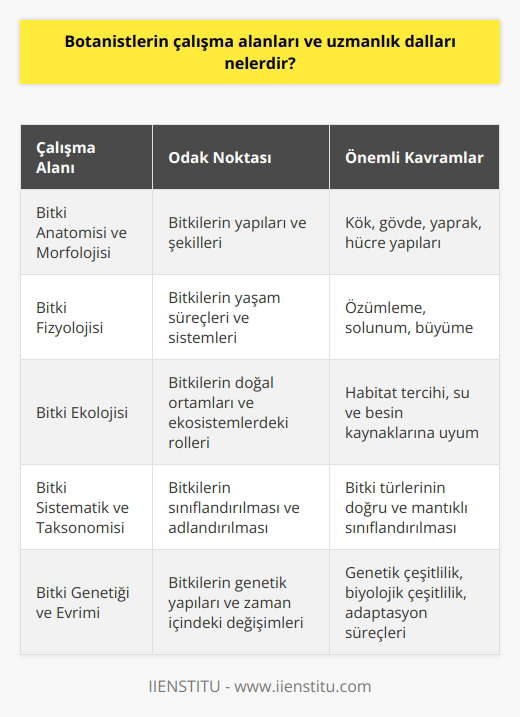 Botanik Çalışma Alanları  Botanistler, bitkilerin biyolojisi ve çeşitli ortamlardaki yaşamları hakkında bilgi toplarlar. Bu bilgiyi, tarım, biyoteknoloji, ekoloji ve   nda kullanılır. Botanistlerin çalışma alanlarının başlıcaları şunlardır: bitki anatomisi ve morfolojisi, bitki fizyolojisi, bitki ekolojisi, bitki sistematik ve taksonomisi, bitki genetiği ve evrimi ve mikrobiyoloji.  Bitki Anatomisi ve Morfolojisi  Bitki anatomisi ve morfolojisi, bitkilerin yapılarını ve şekillerini inceleyen botanik dallarındandır. Bu alanlar, bitkilerin kök, gövde, yaprak gibi organlarının ve hücrelerinin yapılarına odaklanır.   Bitki Fizyolojisi  Bitki fizyolojisi, bitkilerin yaşam süreçlerini ve bu süreçleri gerçekleştiren sistemleri inceler. Bu süreçler, özümleme, solunum ve büyüme gibi temel yaşam olaylarını kapsar.  Bitki Ekolojisi  Bitki ekolojisi, bitkilerin doğal ortamlarında ve ekosistemlerdeki rollerini ve etkileşimlerini araştırır. Bu alan, bitkilerin habitat tercihi, su ve besin kaynaklarına olan uyumları üzerine yoğun bir şekilde çalışır.  Bitki Sistematik ve Taksonomisi  Bitki sistematik ve taksonomisi, bitkilerin sınıflandırılması ve adlandırılması ile ilgilenir. Bu alan, bitki türlerini doğru ve mantıklı bir şekilde sınıflandırarak bilimsel çalışmalara temel sağlar.  Bitki Genetiği ve Evrimi  Bitki genetiği ve evrimi, bitkilerin genetik yapılarını ve zaman içinde nasıl değiştiğini inceler. Ayrıca, bitkilerin genetik çeşitliliğinin biyolojik çeşitlilik ve adaptasyon süreçlerindeki önemi üzerinde durur.  Mikrobiyoloji  Botanistlerin diğer bir uzmanlık alanı da mikrobiyolojidir. Bu alanda çalışanlar, bitkilerle ilişkili mikroorganizmaları ve lotik ortamlardaki bakterilerin bitkiler üzerindeki etkilerini araştırır.