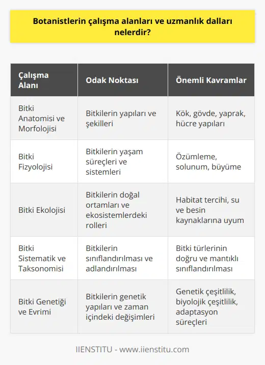 Botanik Çalışma Alanları  Botanistler, bitkilerin biyolojisi ve çeşitli ortamlardaki yaşamları hakkında bilgi toplarlar. Bu bilgiyi, tarım, biyoteknoloji, ekoloji ve   nda kullanılır. Botanistlerin çalışma alanlarının başlıcaları şunlardır: bitki anatomisi ve morfolojisi, bitki fizyolojisi, bitki ekolojisi, bitki sistematik ve taksonomisi, bitki genetiği ve evrimi ve mikrobiyoloji.  Bitki Anatomisi ve Morfolojisi  Bitki anatomisi ve morfolojisi, bitkilerin yapılarını ve şekillerini inceleyen botanik dallarındandır. Bu alanlar, bitkilerin kök, gövde, yaprak gibi organlarının ve hücrelerinin yapılarına odaklanır.   Bitki Fizyolojisi  Bitki fizyolojisi, bitkilerin yaşam süreçlerini ve bu süreçleri gerçekleştiren sistemleri inceler. Bu süreçler, özümleme, solunum ve büyüme gibi temel yaşam olaylarını kapsar.  Bitki Ekolojisi  Bitki ekolojisi, bitkilerin doğal ortamlarında ve ekosistemlerdeki rollerini ve etkileşimlerini araştırır. Bu alan, bitkilerin habitat tercihi, su ve besin kaynaklarına olan uyumları üzerine yoğun bir şekilde çalışır.  Bitki Sistematik ve Taksonomisi  Bitki sistematik ve taksonomisi, bitkilerin sınıflandırılması ve adlandırılması ile ilgilenir. Bu alan, bitki türlerini doğru ve mantıklı bir şekilde sınıflandırarak bilimsel çalışmalara temel sağlar.  Bitki Genetiği ve Evrimi  Bitki genetiği ve evrimi, bitkilerin genetik yapılarını ve zaman içinde nasıl değiştiğini inceler. Ayrıca, bitkilerin genetik çeşitliliğinin biyolojik çeşitlilik ve adaptasyon süreçlerindeki önemi üzerinde durur.  Mikrobiyoloji  Botanistlerin diğer bir uzmanlık alanı da mikrobiyolojidir. Bu alanda çalışanlar, bitkilerle ilişkili mikroorganizmaları ve lotik ortamlardaki bakterilerin bitkiler üzerindeki etkilerini araştırır.