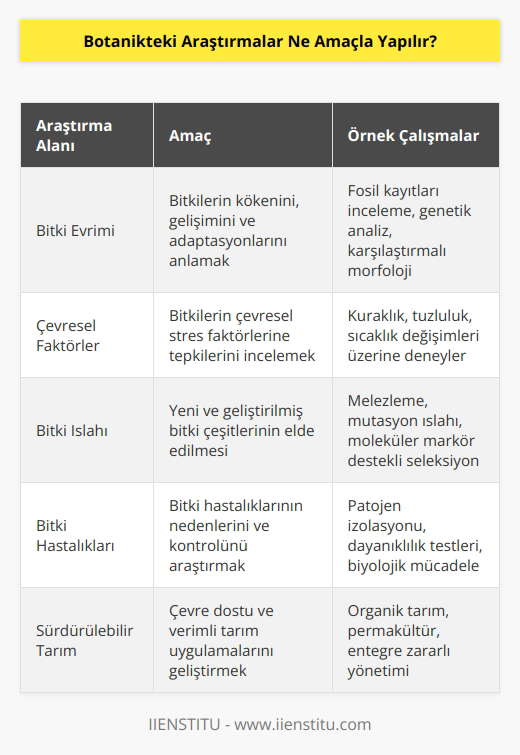 Botanikteki araştırmalar, bitkilerin evrimi ve özelliklerinin incelenmesi, bitkilerin çevresel faktörlerin etkilerini anlamak, bitki tohumları ve çeşitlerinin değerlendirilmesi, bitkisel üretimin optimize edilmesi, bitki hastalıklarının önlenmesi ve bitki yetiştiriciliğinin geliştirilmesi amacıyla yapılır.