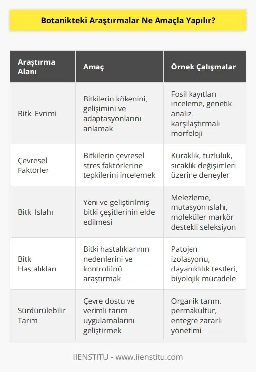 Botanikteki araştırmalar, bitkilerin evrimi ve özelliklerinin incelenmesi, bitkilerin çevresel faktörlerin etkilerini anlamak, bitki tohumları ve çeşitlerinin değerlendirilmesi, bitkisel üretimin optimize edilmesi, bitki hastalıklarının önlenmesi ve bitki yetiştiriciliğinin geliştirilmesi amacıyla yapılır.