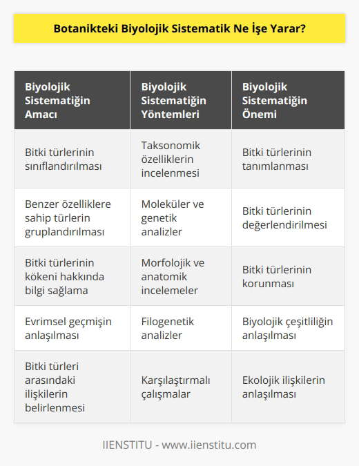 Biyolojik sistematik, botanikte bitki türlerinin sınıflandırılması ve gruplandırılması için kullanılan bir yöntemdir. Sistematik, bitki türlerinin taksonomik özelliklerini inceleyerek, benzer özelliklere sahip türleri sınıflandırır ve gruplandırır. Sistematik aynı zamanda bitki türlerinin kökeni ve evrimsel geçmişi hakkında da bilgi sağlayabilir. Sistematik, bitki türlerinin tanımlanması, değerlendirilmesi ve korunması için önemli bir araçtır.