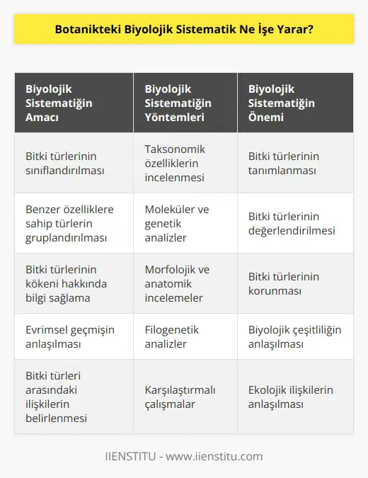 Biyolojik sistematik, botanikte bitki türlerinin sınıflandırılması ve gruplandırılması için kullanılan bir yöntemdir. Sistematik, bitki türlerinin taksonomik özelliklerini inceleyerek, benzer özelliklere sahip türleri sınıflandırır ve gruplandırır. Sistematik aynı zamanda bitki türlerinin kökeni ve evrimsel geçmişi hakkında da bilgi sağlayabilir. Sistematik, bitki türlerinin tanımlanması, değerlendirilmesi ve korunması için önemli bir araçtır.