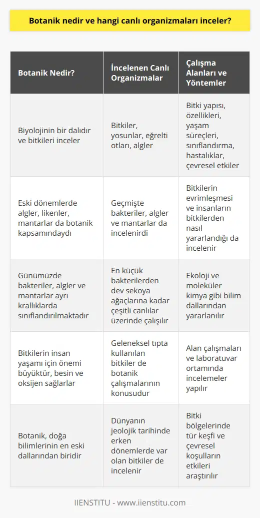 Botanik Nedir?  Botanik, canlı organizmaları inceleyen bir biyoloji dalı olup bitkiler ve bitki benzeri organizmaları konu alır. Eski dönemlerde algler, likenler, mantarlar ve yosunlar gibi daha çok bitkiye benzeyen canlılar da botanik kapsamında incelenirdi. Fakat, zaman içerisinde bakteri, alg ve mantarların farklı bir krallığa ait olduğu anlaşılmıştır.  Bitki Grupları ve İncelenen Organizmalar  Günümüzde botanik incelemelerinde en küçük bakterilerden en büyük canlılara, dev sekoya ağaçlarına kadar çok çeşitli canlı organizmalar üzerinde çalışılmaktadır. Bilim insanları, bakterilerin, alglerin ve mantarların kendi ayrı krallıklarında olduğunu savunarak bitkiler, yosunlar, eğrelti otları ve algleri ele almaktadırlar.  Çalışma Alanları ve Yöntemler  Botanik alanında yapılan araştırmalar, bitkilerin yapı, özellikler, yaşam süreçleri, sınıflandırmalar, hastalıklar, çevresel etkiler ve etkileşimler gibi konuları inceler. Ayrıca, insanların bitkilerden nasıl yararlandıklarını ve bitkilerin nasıl evrimleştiğini de konu alır. Botanikçiler, bitkilerin yaşamlarını araştırırken ecoloji ve moleküler kimya gibi bilim dallarından da yararlanmaktadırlar.  Botanik ve İnsan Yaşamının İç İçeliği  Bitkiler, doğrudan veya dolaylı olarak tüm besinimizi ve soluduğumuz oksijeni sağlayarak insanların yaşamları için büyük önem taşır. Botanik alanında gerçekleştirilen araştırmalar doğa bilimlerinin en eskilerinden bir olan ve Dünyanın jeolojik tarihinde daha erken dönemlerde var olan bitkiler üzerinde yapılmaktadır. Geleneksel tıpta kullanılan bitkilerin araştırılması ve ana ilaçlara nasıl uygulanabilecekleri de botanik çalışmalarının başlıca kaynaklarındandır.  Laboratuvar ve Alan Çalışmaları  Botanik alanında uzmanlaşmış bilim insanları, bitki bölgelerinde tür keşfi ve çevresel koşulların bitki yaşamı üzerindeki etkilerini inceleyerek alan çalışmaları yapmaktadırlar. Aynı zamanda botanikçiler, bitkilerin yapısını inceleyerek ve moleküler kimya gibi araçları kullanarak laboratuvar ortamında çalışmalar gerçekleştirirler.  Sonuç olarak, botanik bilimi insanların yaşamları ve çevresi için büyük önem taşımaktadır. Bitkiler ve bitki benzeri organizmaların yaşamları, yapısı, evrimleri ve insanlarla olan etkileşimleri ile ilgili bilgi sağlayarak toplumun ve doğanın daha uyumlu bir şekilde buluşmasına katkıda bulunmaktadır.
