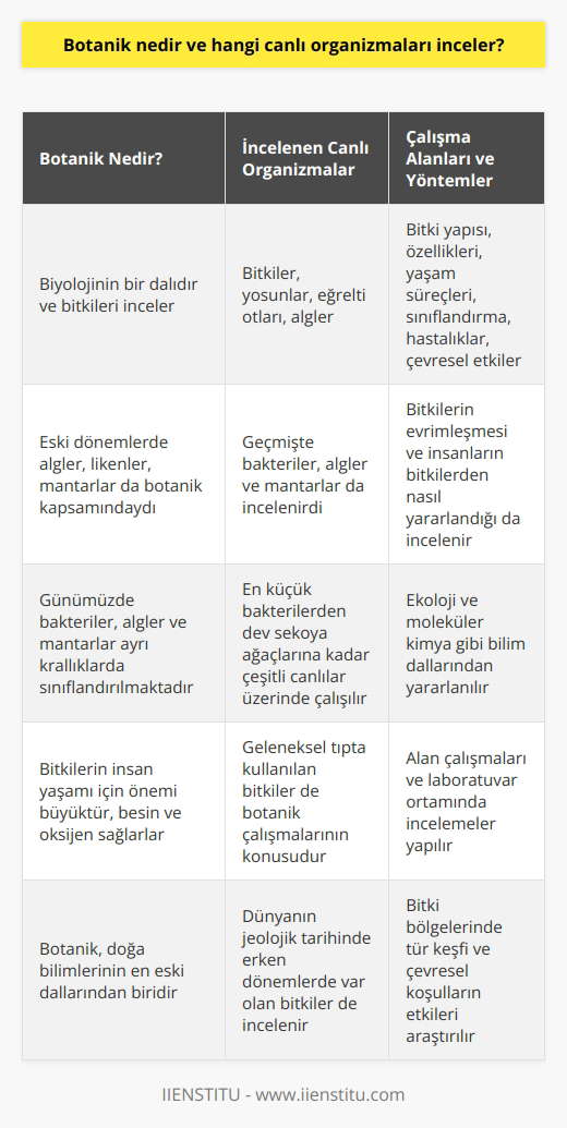 Botanik Nedir? Botanik, canlı organizmaları inceleyen bir biyoloji dalı olup bitkiler ve bitki benzeri organizmaları konu alır. Eski dönemlerde algler, likenler, mantarlar ve yosunlar gibi daha çok bitkiye benzeyen canlılar da botanik kapsamında incelenirdi. Fakat, zaman içerisinde bakteri, alg ve mantarların farklı bir krallığa ait olduğu anlaşılmıştır. Bitki Grupları ve İncelenen Organizmalar Günümüzde botanik incelemelerinde en küçük bakterilerden en büyük canlılara, dev sekoya ağaçlarına kadar çok çeşitli canlı organizmalar üzerinde çalışılmaktadır. Bilim insanları, bakterilerin, alglerin ve mantarların kendi ayrı krallıklarında olduğunu savunarak bitkiler, yosunlar, eğrelti otları ve algleri ele almaktadırlar. Çalışma Alanları ve Yöntemler Botanik alanında yapılan araştırmalar, bitkilerin yapı, özellikler, yaşam süreçleri, sınıflandırmalar, hastalıklar, çevresel etkiler ve etkileşimler gibi konuları inceler. Ayrıca, insanların bitkilerden nasıl yararlandıklarını ve bitkilerin nasıl evrimleştiğini de konu alır. Botanikçiler, bitkilerin yaşamlarını araştırırken ecoloji ve moleküler kimya gibi bilim dallarından da yararlanmaktadırlar. Botanik ve İnsan Yaşamının İç İçeliği Bitkiler, doğrudan veya dolaylı olarak tüm besinimizi ve soluduğumuz oksijeni sağlayarak insanların yaşamları için büyük önem taşır. Botanik alanında gerçekleştirilen araştırmalar doğa bilimlerinin en eskilerinden bir olan ve Dünyanın jeolojik tarihinde daha erken dönemlerde var olan bitkiler üzerinde yapılmaktadır. Geleneksel tıpta kullanılan bitkilerin araştırılması ve ana ilaçlara nasıl uygulanabilecekleri de botanik çalışmalarının başlıca kaynaklarındandır. Laboratuvar ve Alan Çalışmaları Botanik alanında uzmanlaşmış bilim insanları, bitki bölgelerinde tür keşfi ve çevresel koşulların bitki yaşamı üzerindeki etkilerini inceleyerek alan çalışmaları yapmaktadırlar. Aynı zamanda botanikçiler, bitkilerin yapısını inceleyerek ve moleküler kimya gibi araçları kullanarak laboratuvar ortamında çalışmalar gerçekleştirirler. Sonuç olarak, botanik bilimi insanların yaşamları ve çevresi için büyük önem taşımaktadır. Bitkiler ve bitki benzeri organizmaların yaşamları, yapısı, evrimleri ve insanlarla olan etkileşimleri ile ilgili bilgi sağlayarak toplumun ve doğanın daha uyumlu bir şekilde buluşmasına katkıda bulunmaktadır.