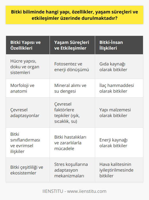 Bitki Biliminde Odaklanılan Yapı, Özellikler, Yaşam Süreçleri ve Etkileşimler Bitkilerin Yapısı ve Özellikleri Bitki bilimi veya botanik, bitki yaşamının yapı, özellikler, yaşam süreçleri ve etkileşimler üzerinde duran bilimsel bir alan olarak ele alınır. İncelenen yapı ve özellikler bitkilerin hücre yapısı, doku ve organ sistemleri, morfoloji ve anatomisi ile çeşitli adaptasyonları içerir. Bu bilgi, bitkilerin yaşam süreçleri ve cansız ortamla nasıl etkileşime girdiklerini anlamak için temel teşkil eder. Yaşam Süreçleri ve Çevresel Etkileşimler Botanik, bitkilerin yaşam döngüsü, büyüme ve gelişimi, fotosentez ve enerji dönüşümü, mineral alımı ve su dengesi gibi yaşam süreçlerini araştırır. Ayrıca bitkilerin çevreye karşı tepkileri ve stres koşulları altında nasıl adapte oldukları konularında da önemlidir. Bu çerçevede, bitkilerin ışık, sıcaklık, su ve besin kaynakları gibi çevresel faktörlerle etkileşimi incelenir. Sınıflandırma ve Evrim Botanik, bitki türlerini sınıflandırarak anlamaya ve evrimsel ilişkilerini belirlemeye çalışan taksonomi üzerinde de durmaktadır. Bu türler arasındaki ilişkilerin belirlenmesi ve evrimsel süreçlerin analizi sayesinde, dünya üzerinde bulunan bitki çeşitliliği ve ekosistemlerinin nasıl oluştuğu anlaşılabilir. Hastalıklar ve Zararlılar Botanik aynı zamanda bitki hastalıkları ve zararlı organizmalarla mücadeleyi konu alan fitopatoloji alanını da içermektedir. Bu kapsamda, bakteri, virüs, mantar ve parazit gibi zararlı organizmaların bitkiler üzerindeki etkileri, hastalık ve bozukluk belirtileri ve kontrol yöntemleri araştırılır. İnsan ve Bitkiler Arasındaki İlişkiler Botanik, insanlar ve bitkiler arasındaki ilişkileri de incelemektedir. Bitkiler insanların yaşamları için önemli kaynaklar sağlamakta olup yiyecek, ilaç, yapı malzemesi, enerji ve hava kalitesi gibi çeşitli alanlarda kullanılırlar. Bu yüzden bitkilerin sürdürülebilir kullanımı ve koruma için botanik bilgisi esastır. Sonuç olarak, botanik, bitki yaşamı ile ilgili karmaşık yapı, özellikler, süreçler ve etkileşimleri inceleyerek Dünya üzerindeki biyolojik çeşitliliğin anlaşılması, korunması ve sürdürülebilir kullanılması için önemli bir bilimdir.