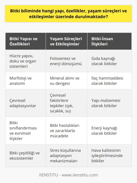 Bitki Biliminde Odaklanılan Yapı, Özellikler, Yaşam Süreçleri ve Etkileşimler Bitkilerin Yapısı ve Özellikleri Bitki bilimi veya botanik, bitki yaşamının yapı, özellikler, yaşam süreçleri ve etkileşimler üzerinde duran bilimsel bir alan olarak ele alınır. İncelenen yapı ve özellikler bitkilerin hücre yapısı, doku ve organ sistemleri, morfoloji ve anatomisi ile çeşitli adaptasyonları içerir. Bu bilgi, bitkilerin yaşam süreçleri ve cansız ortamla nasıl etkileşime girdiklerini anlamak için temel teşkil eder. Yaşam Süreçleri ve Çevresel Etkileşimler Botanik, bitkilerin yaşam döngüsü, büyüme ve gelişimi, fotosentez ve enerji dönüşümü, mineral alımı ve su dengesi gibi yaşam süreçlerini araştırır. Ayrıca bitkilerin çevreye karşı tepkileri ve stres koşulları altında nasıl adapte oldukları konularında da önemlidir. Bu çerçevede, bitkilerin ışık, sıcaklık, su ve besin kaynakları gibi çevresel faktörlerle etkileşimi incelenir. Sınıflandırma ve Evrim Botanik, bitki türlerini sınıflandırarak anlamaya ve evrimsel ilişkilerini belirlemeye çalışan taksonomi üzerinde de durmaktadır. Bu türler arasındaki ilişkilerin belirlenmesi ve evrimsel süreçlerin analizi sayesinde, dünya üzerinde bulunan bitki çeşitliliği ve ekosistemlerinin nasıl oluştuğu anlaşılabilir. Hastalıklar ve Zararlılar Botanik aynı zamanda bitki hastalıkları ve zararlı organizmalarla mücadeleyi konu alan fitopatoloji alanını da içermektedir. Bu kapsamda, bakteri, virüs, mantar ve parazit gibi zararlı organizmaların bitkiler üzerindeki etkileri, hastalık ve bozukluk belirtileri ve kontrol yöntemleri araştırılır. İnsan ve Bitkiler Arasındaki İlişkiler Botanik, insanlar ve bitkiler arasındaki ilişkileri de incelemektedir. Bitkiler insanların yaşamları için önemli kaynaklar sağlamakta olup yiyecek, ilaç, yapı malzemesi, enerji ve hava kalitesi gibi çeşitli alanlarda kullanılırlar. Bu yüzden bitkilerin sürdürülebilir kullanımı ve koruma için botanik bilgisi esastır. Sonuç olarak, botanik, bitki yaşamı ile ilgili karmaşık yapı, özellikler, süreçler ve etkileşimleri inceleyerek Dünya üzerindeki biyolojik çeşitliliğin anlaşılması, korunması ve sürdürülebilir kullanılması için önemli bir bilimdir.