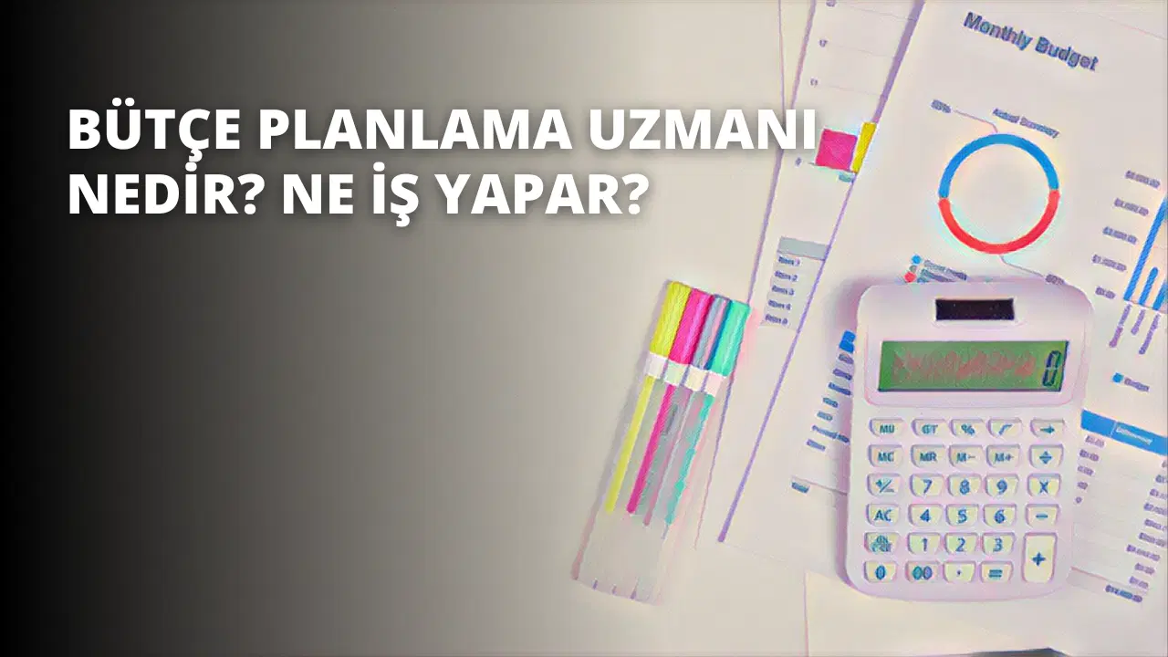 Bütçe Planlama Uzmanı Nedir? Ne İş Yapar?