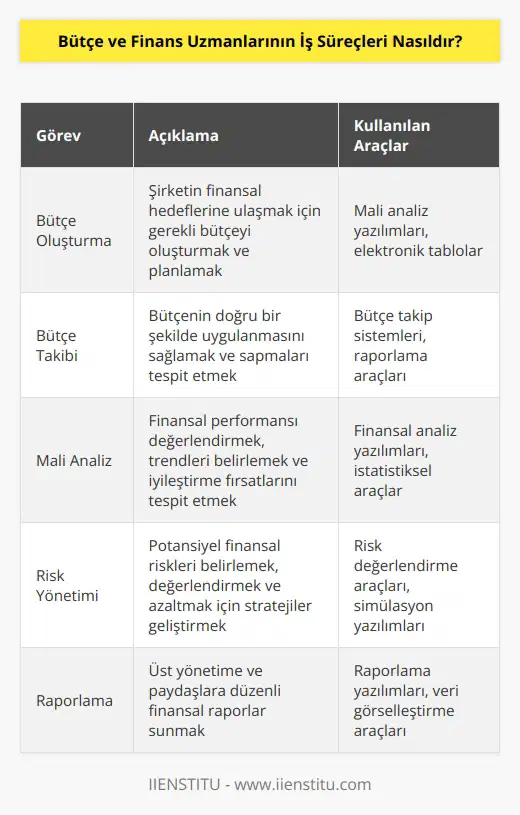 Bütçe ve finans uzmanlarının iş süreçleri, şirketlerin bütçelerini oluşturmak, takip etmek ve raporlamak için kullanılan çeşitli yöntemleri kullanır. Bütçe ve finans uzmanları, mali kaynakların etkin kullanımını ve mali risklerin azaltılmasını sağlamak için her türlü harcamayı izlemekle sorumludurlar. Bütçe ve finans uzmanları ayrıca, mali kaynakların kullanımının etkinliğini ve verimliliğini arttırmak için yönetim kararlarını desteklemek ve mali kaynakların tahsis ve kullanımının uygunluğunu değerlendirmek için mali analizler yaparlar. Ayrıca, bütçe ve finans uzmanları, genel maliyeyi, vergi planlamasını ve çalışanların ödemelerini yönetmek için mali araçları kullanır.