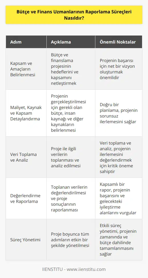 Bütçe ve Finans Uzmanlarının raporlama sürecinde her bütçe ve finanslama projesi için belirli adımlar bulunur. Bu adımların her birinin amacı, bütçe ve finanslama projesine ilişkin bilgileri toplamak, değerlendirmek ve sonuçlarını raporlamaktır. Öncelikle, bir bütçe ve finanslama projesini başlatmak için, kapsam ve amaçların belirlenmesi gerekmektedir. Ardından, projenin maliyetleri, kaynakları ve kapsamının detaylandırılması gerekir. Daha sonra, proje için gerekli verilerin toplanması ve bu verilerin analiz edilmesi gerekir. Son olarak, toplanan bilgilerin değerlendirilmesi ve proje sonuçlarının raporlanması gerekir. Rapor, kapsam ve amaçların belirlendiği başlangıçtan projeyi tamamlamaya kadar olan tüm süreçleri kapsamalıdır.