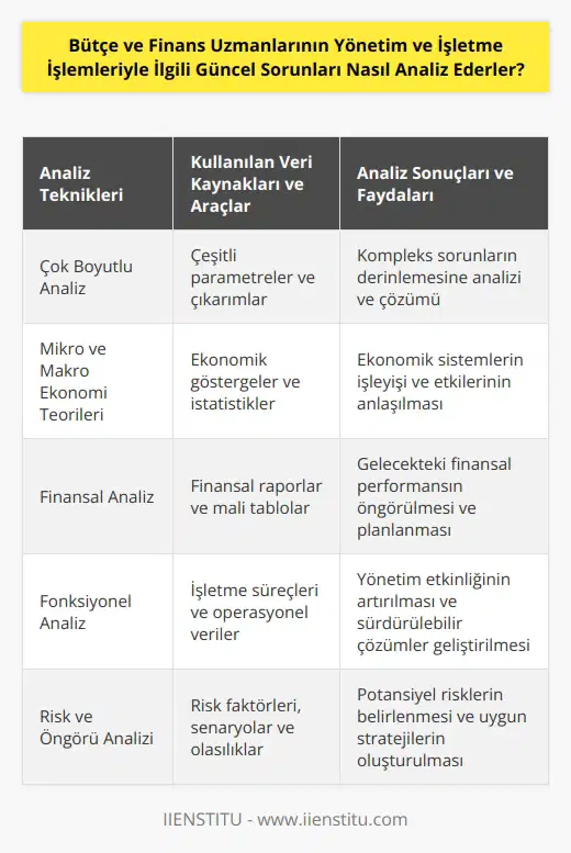 Bütçe ve finans uzmanları, güncel sorunları ve işletme işlemlerini analiz etmek için bir dizi teknik kullanırlar. Bunlar arasında, çok boyutlu analiz, mikro ve makro ekonomi teorileri, finansal analiz, fonksiyonel analiz ve risk ve öngörü analizi yer alır. Bunların her birinde, uzmanlar çeşitli veri kaynakları ve araçlar kullanırlar. Çok boyutlu analiz, uzmanların çeşitli parametreleri ve çıkarımları kullanarak kompleks sorunları analiz etmelerine olanak tanır. Mikro ve makro ekonomi teorileri, uzmanların ekonomik sistemlerin çalışmasını ve etkilerini anlamalarını sağlar. Finansal analiz, uzmanların özellikle finansal raporları inceleyerek öngörüler geliştirmelerine olanak tanır. Fonksiyonel analiz, uzmanların işletme işlemlerinin yönetimini inceleyerek etkili çözümler geliştirmelerine olanak tanır. Risk ve öngörü analizi, uzmanların karar verme sürecinde potansiyel riskleri ve getirileri inceleyerek uygun çözümler üretmelerine olanak tanır.